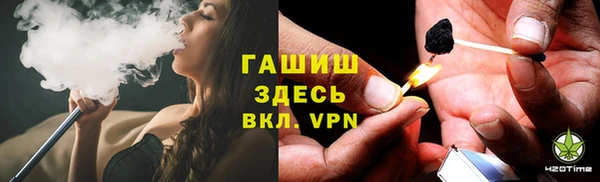 сатива Аркадак
