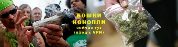 соль ск Арсеньев