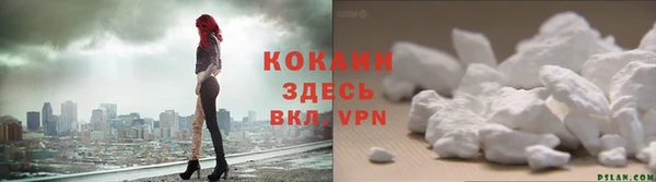 соль ск Арсеньев