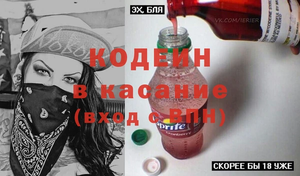 сатива Аркадак