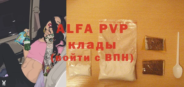 сатива Аркадак